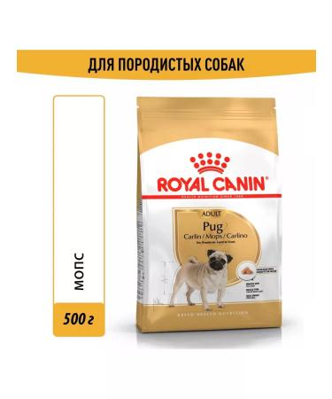 ROYAL CANIN Dry food pug adult for dogs pugs 0.5 kg - Buy Online on GoSupps.com