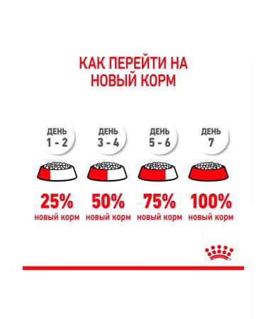 ROYAL CANIN Dry Mini Starter Feed Small Puppies Mini Starter 1 kg - Buy Online on GoSupps.com