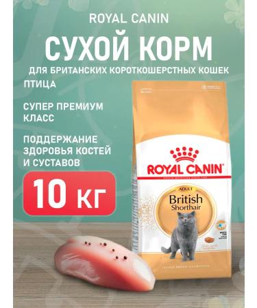 ROYAL CANIN Dry food British shorthair for cats British 10 kg