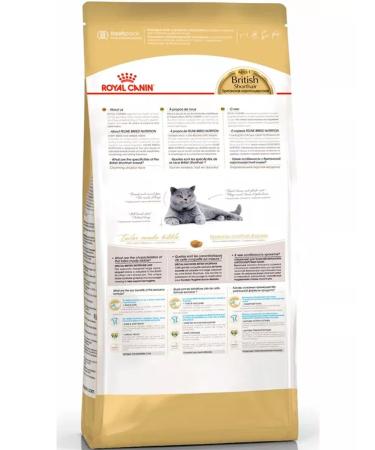 ROYAL CANIN Dry food British shorthair for cats British 10 kg - Buy Online on GoSupps.com