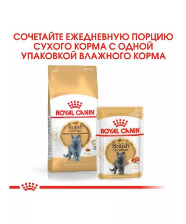 ROYAL CANIN Dry food British shorthair for cats British 10 kg - Buy Online on GoSupps.com