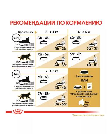 ROYAL CANIN Dry food British shorthair for cats British 10 kg - Buy Online on GoSupps.com