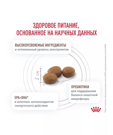 ROYAL CANIN GastroinTestinal Moderate Calorie food for cats 2 kg - Buy Online on GoSupps.com