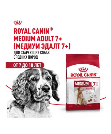 ROYAL CANIN Dog food dry Medium Adult 7+ for medium rocks 4 kg - Buy Online on GoSupps.com