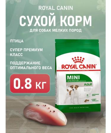 ROYAL CANIN Dry Mini Adult food for dogs of small species 0.8 kg