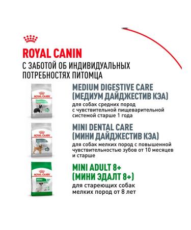 ROYAL CANIN Dry Mini Adult food for dogs of small species 0.8 kg - Buy Online on GoSupps.com