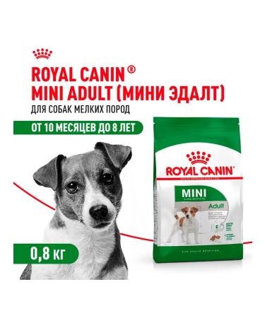 ROYAL CANIN Dry Mini Adult food for dogs of small species 0.8 kg - Buy Online on GoSupps.com