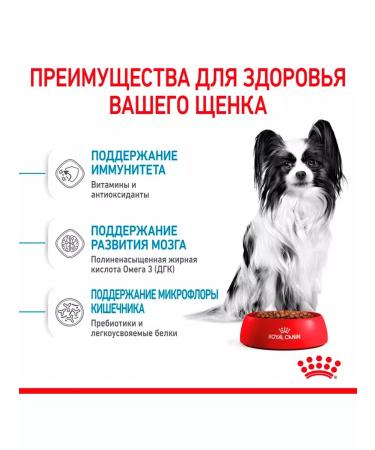 ROYAL CANIN Dry Feed X-Small Puppy for small puppies 0.5 kg - Buy Online on GoSupps.com