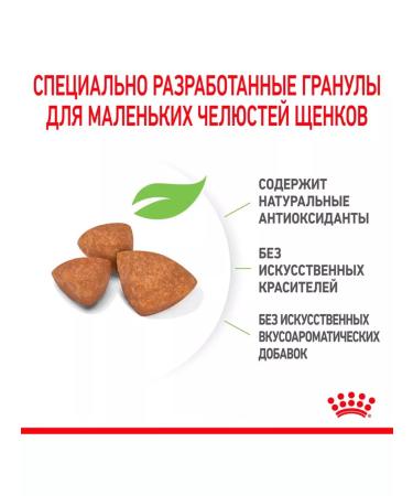 ROYAL CANIN Dry Feed X-Small Puppy for small puppies 0.5 kg - Buy Online on GoSupps.com