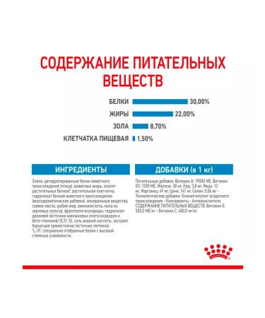 ROYAL CANIN Dry food for dogs of small breeds mini Starter 8.5 kg - Buy Online on GoSupps.com