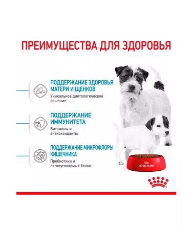 ROYAL CANIN Dry food for dogs of small breeds mini Starter 8.5 kg - Buy Online on GoSupps.com