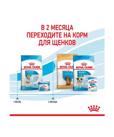 ROYAL CANIN Dry food for dogs of small breeds mini Starter 8.5 kg - Buy Online on GoSupps.com
