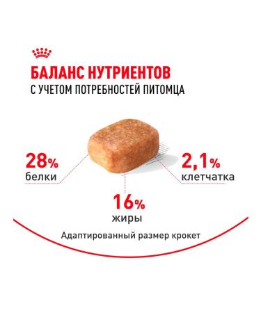 ROYAL CANIN Dog food dry chihuahua adult Chihuahua 1.5 kg - Buy Online on GoSupps.com