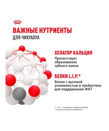 ROYAL CANIN Dog food dry chihuahua adult Chihuahua 1.5 kg - Buy Online on GoSupps.com