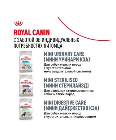 ROYAL CANIN Dog food dry pug adult pug 1.5 kg - Buy Online on GoSupps.com