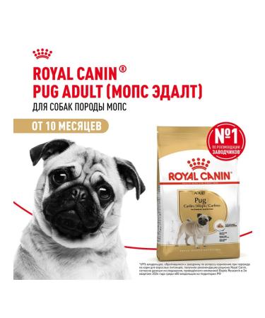 ROYAL CANIN Dog food dry pug adult pug 1.5 kg - Buy Online on GoSupps.com