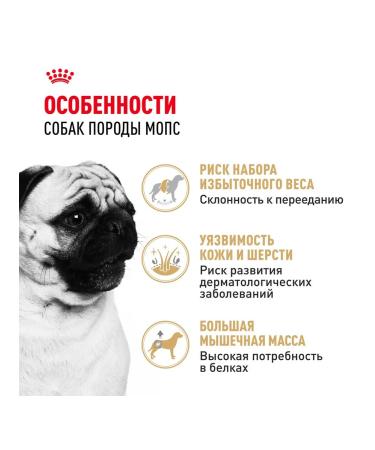 ROYAL CANIN Dog food dry pug adult pug 1.5 kg - Buy Online on GoSupps.com