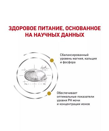 ROYAL CANIN Dry Urinary S o cat for cats Urinaria 7 kg - Buy Online on GoSupps.com