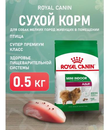ROYAL CANIN Mini Indoor Life Adult food for small dogs Indodor 0.5 kg
