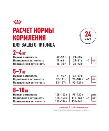 ROYAL CANIN Mini Indoor Life Adult food for small dogs Indodor 0.5 kg - Buy Online on GoSupps.com