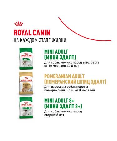 ROYAL CANIN Mini Indoor Life Adult food for small dogs Indodor 0.5 kg - Buy Online on GoSupps.com