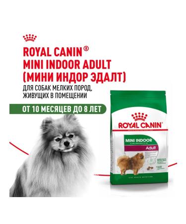 ROYAL CANIN Mini Indoor Life Adult food for small dogs Indodor 0.5 kg - Buy Online on GoSupps.com