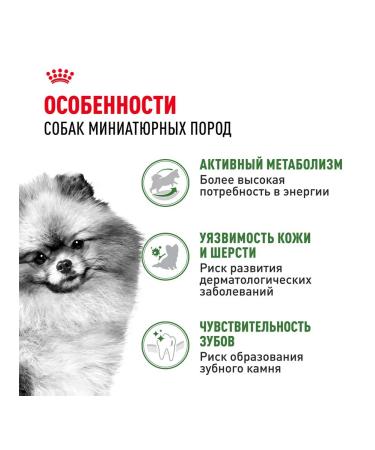 ROYAL CANIN Mini Indoor Life Adult food for small dogs Indodor 0.5 kg - Buy Online on GoSupps.com