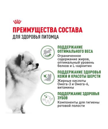 ROYAL CANIN Mini Indoor Life Adult food for small dogs Indodor 0.5 kg - Buy Online on GoSupps.com