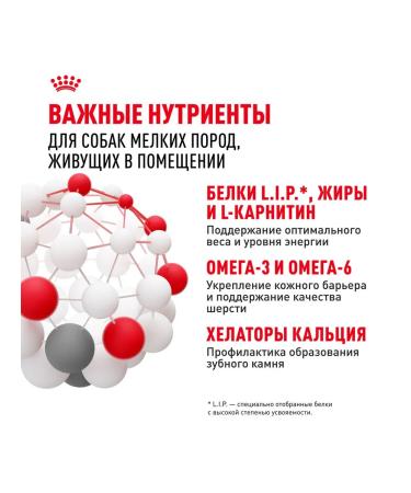 ROYAL CANIN Mini Indoor Life Adult food for small dogs Indodor 0.5 kg - Buy Online on GoSupps.com