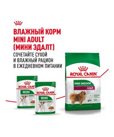 ROYAL CANIN Mini Indoor Life Adult food for small dogs Indodor 0.5 kg - Buy Online on GoSupps.com