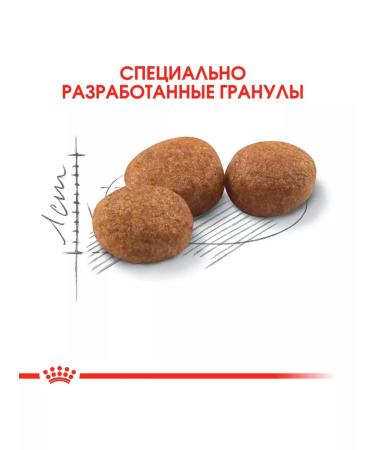 ROYAL CANIN Dry sterilated 37 food for sterilized cats 10 kg - Buy Online on GoSupps.com