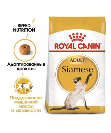 ROYAL CANIN Dry Siamese food for Siamese cats 2 kg - Buy Online on GoSupps.com
