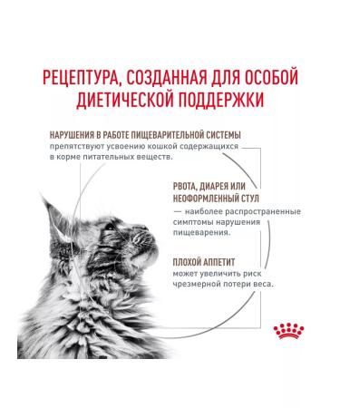 ROYAL CANIN Dry gastrointestinal feed for cats gastrointestinal 2 kg - Buy Online on GoSupps.com