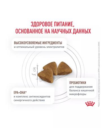 ROYAL CANIN Dry gastrointestinal feed for cats gastrointestinal 2 kg - Buy Online on GoSupps.com