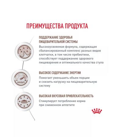 ROYAL CANIN Dry gastrointestinal feed for cats gastrointestinal 2 kg - Buy Online on GoSupps.com