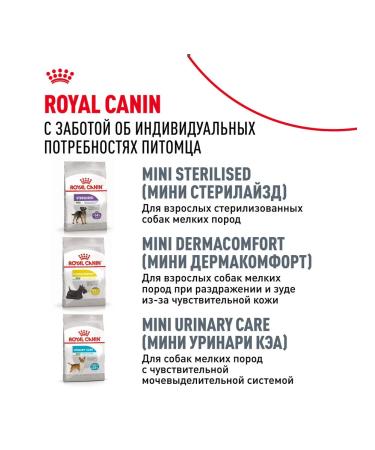 ROYAL CANIN Dry Miniature Schnauzer Adult Form Schnauzer Dog 3 kg - Buy Online on GoSupps.com