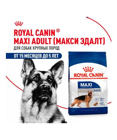 ROYAL CANIN Dog food dry Maxi Adult for large breeds of 3 kg - Buy Online on GoSupps.com