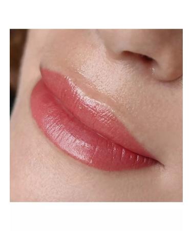Eyebrows Permanent Makeup Pigment for the Brovi Lip Permanent Juicy watermelon 15 ml - Buy Online on GoSupps.com