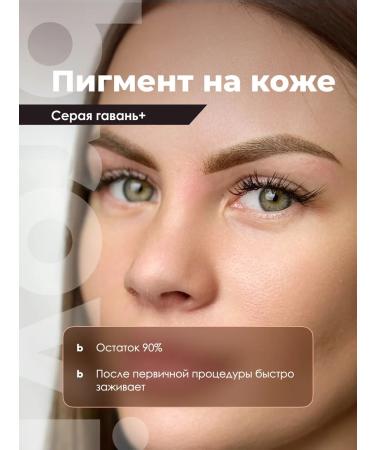 Eyebrows Permanent Makeup Pigment for eyebrows permanent Brovi Gray Harbor+ 10 ml - Buy Online on GoSupps.com