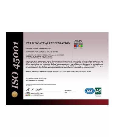 Nefertiti Pumpkin oil seed oil of cold squeezing 200 ml - Buy Online on GoSupps.com