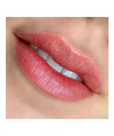 Eyebrows Permanent Makeup Pigment for the lip permanent Brovi raspberry tartlet 15 ml - Buy Online on GoSupps.com