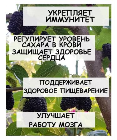 Tree of Love Mulberry sheet - Buy Online on GoSupps.com