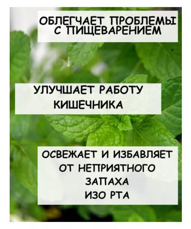 Tree of Love Peppermint herb - Buy Online on GoSupps.com