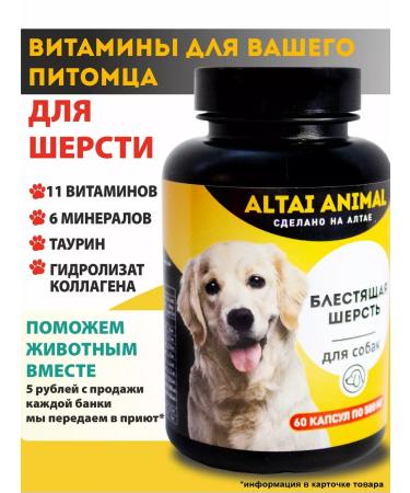 Altai traditions Vitamins for dogs for wool and skin
