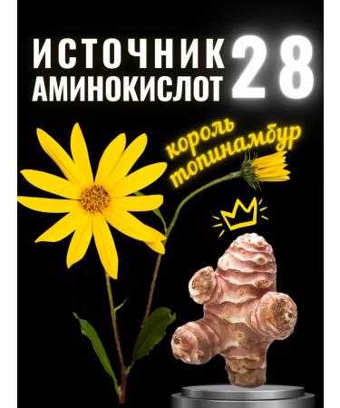 ANTIVIRUS HERO Protein Pumpkin Pilo -thunder Jerusalem artichoke Vagan Belok - Buy Online on GoSupps.com