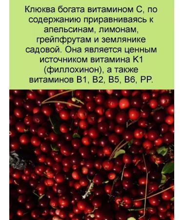 Spring of Health Biofit lingonberry with cranberry vitamins immunity - Buy Online on GoSupps.com