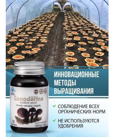 HOGLA Ganoderm Bad for immunity vitamins - Buy Online on GoSupps.com
