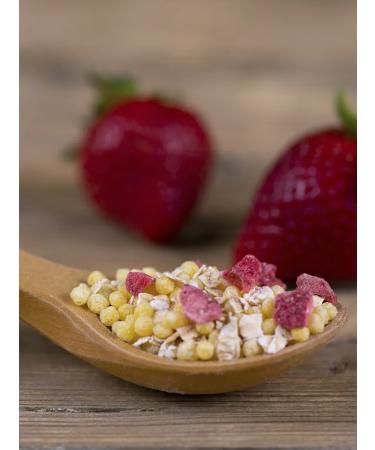 Fleur Alpine Porridge multi -plaan strawberries apple with balls 15 months - Buy Online on GoSupps.com