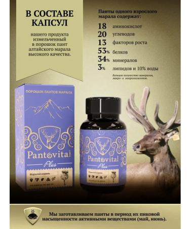 Pantovital Capsules vitamins for male health - Buy Online on GoSupps.com