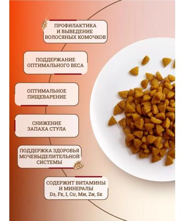 ROYAL CANIN Dry food for cats Indoor 27 2 kg - Buy Online on GoSupps.com